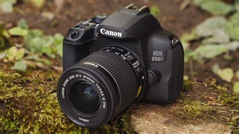 The best DSLR in 2024 .